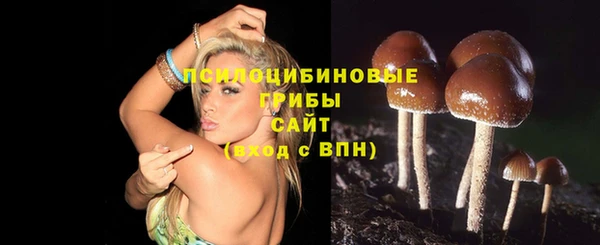 марки nbome Алзамай