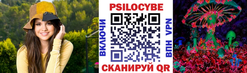 Псилоцибиновые грибы Psilocybine cubensis Лермонтов